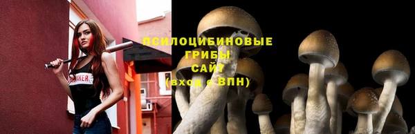 синтетический гашиш Баксан