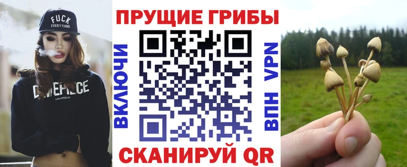 где найти   маркетплейс формула  Галлюциногенные грибы мухоморы  Новопавловск 